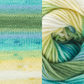 Fiddlesticks - Superb 8 Prints
