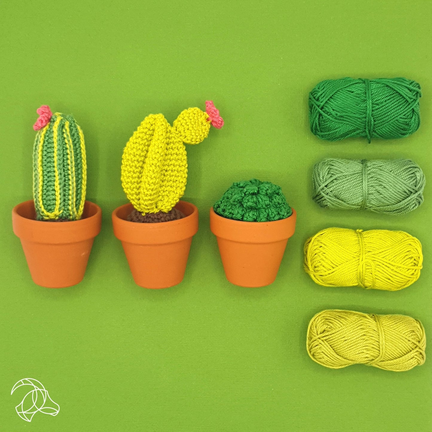 Hardicraft Crochet Kit - Cacti