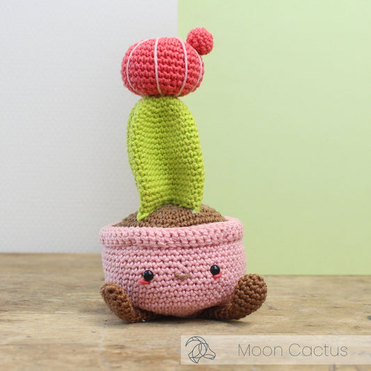 Hardicraft Crochet Kit - Moon Cactus