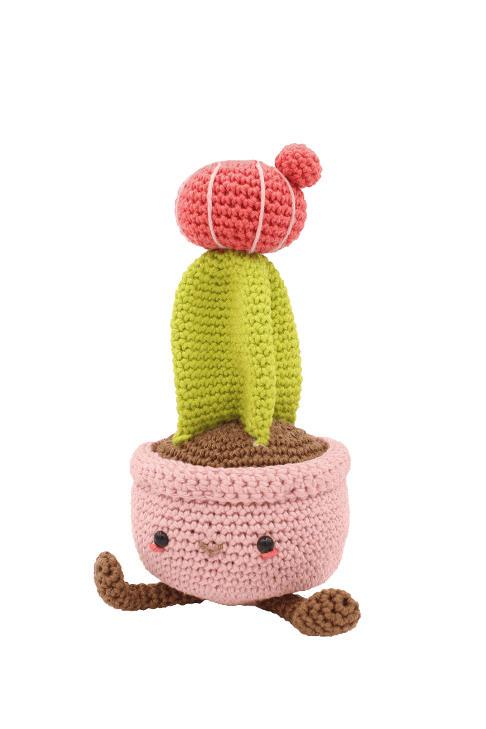 Hardicraft Crochet Kit - Moon Cactus